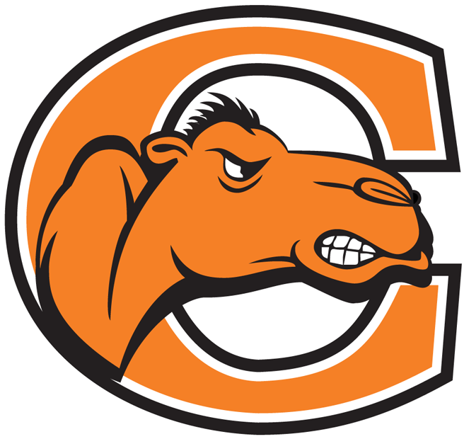 Campbell Fighting Camels 2005-2007 Primary Logo diy iron on heat transfer
